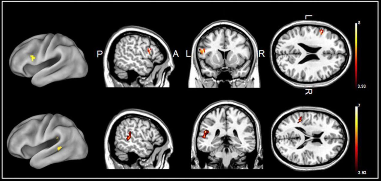 uomo maschio e femmina 30 novembre.pptx.pptx